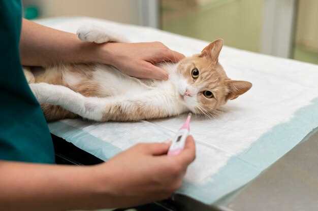 Prednisolone syrup for cats dosage side effects and safe administration guide