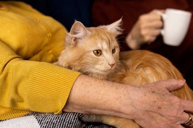 mg vs 1 mg per Pound: Exact Calculator for 3–15 lb Cats (No Math Degree Required)