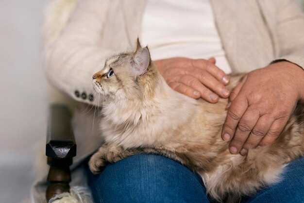 Pill or Liquid? Measured Doses That Keep Your Sofa Scratch-Free