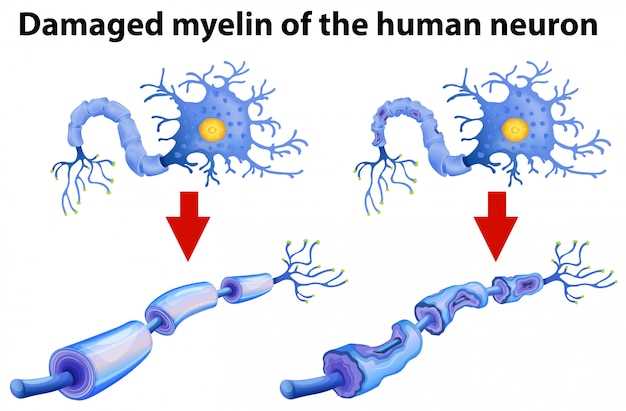 Rx Neurontin prescription uses dosage side effects warnings for safe nerve pain relief