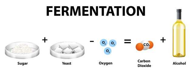 Accurate Torsemide to Furosemide Dose Conversion Guide for Clinical Practice